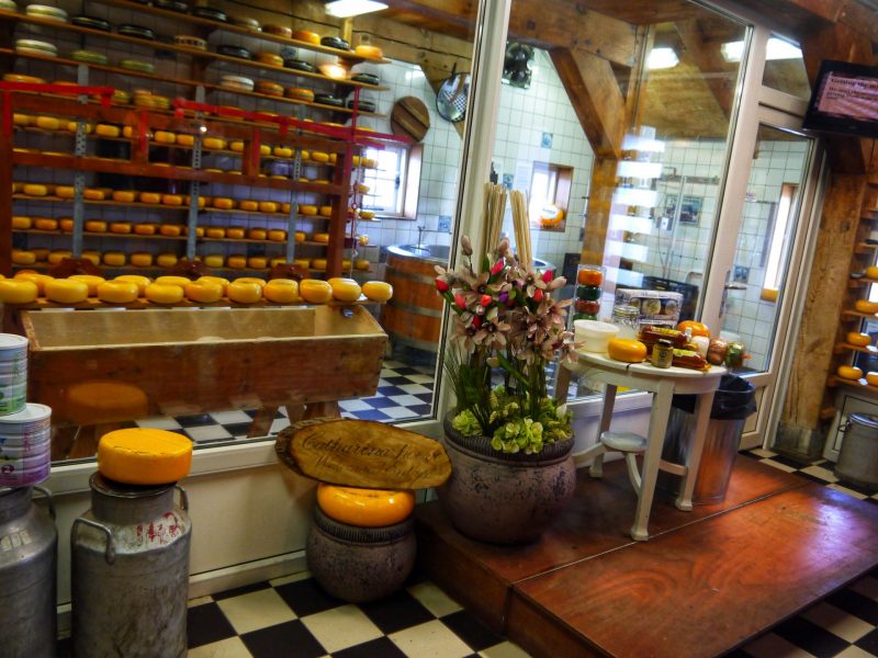 Cheese-Tasting-in-Zaanse-Schans-e1633139782601